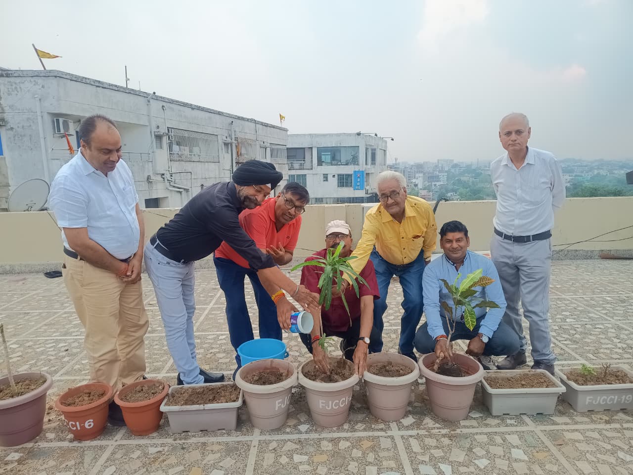 FJCCI Sub-Committee Launches Plantation Drive on Environment Day.